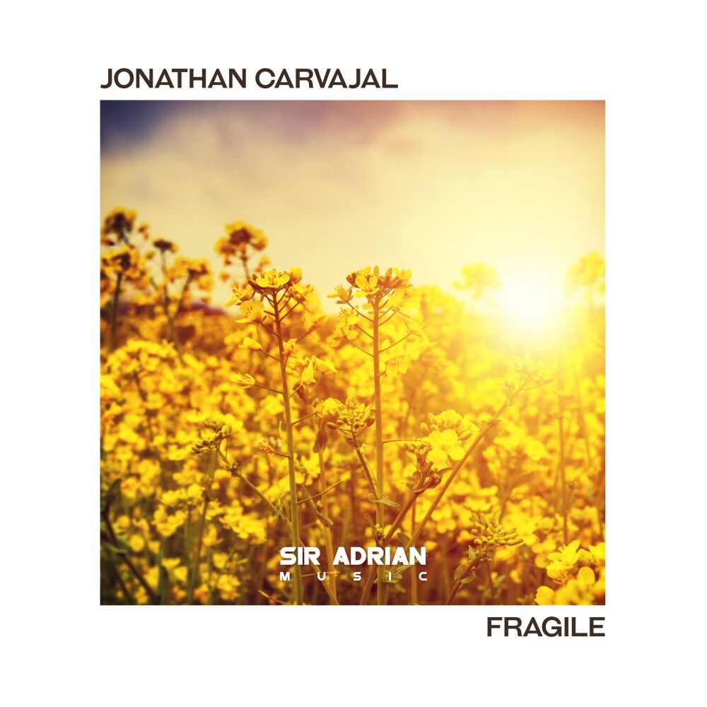Picture of Fragile