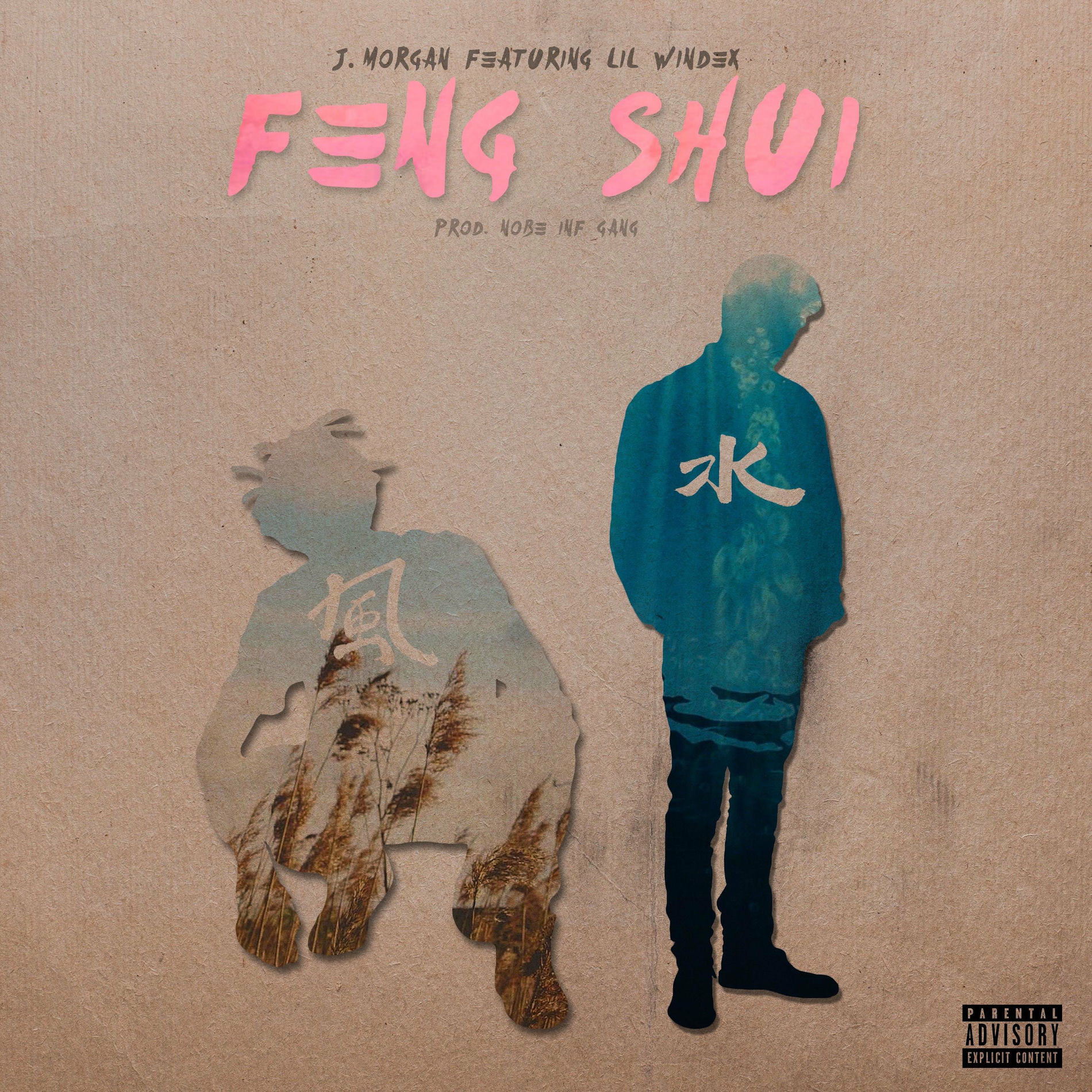 Album cover of Feng Shui (feat. Lil Windex)