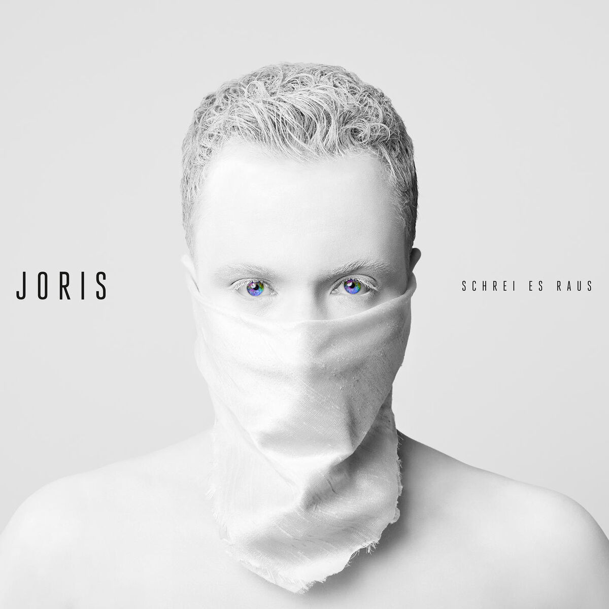 Album cover of Schrei es raus (Deluxe)
