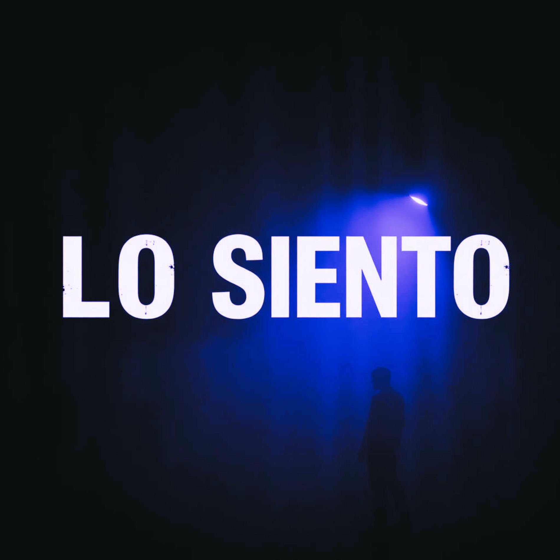 Album cover of LO SIENTO T_T