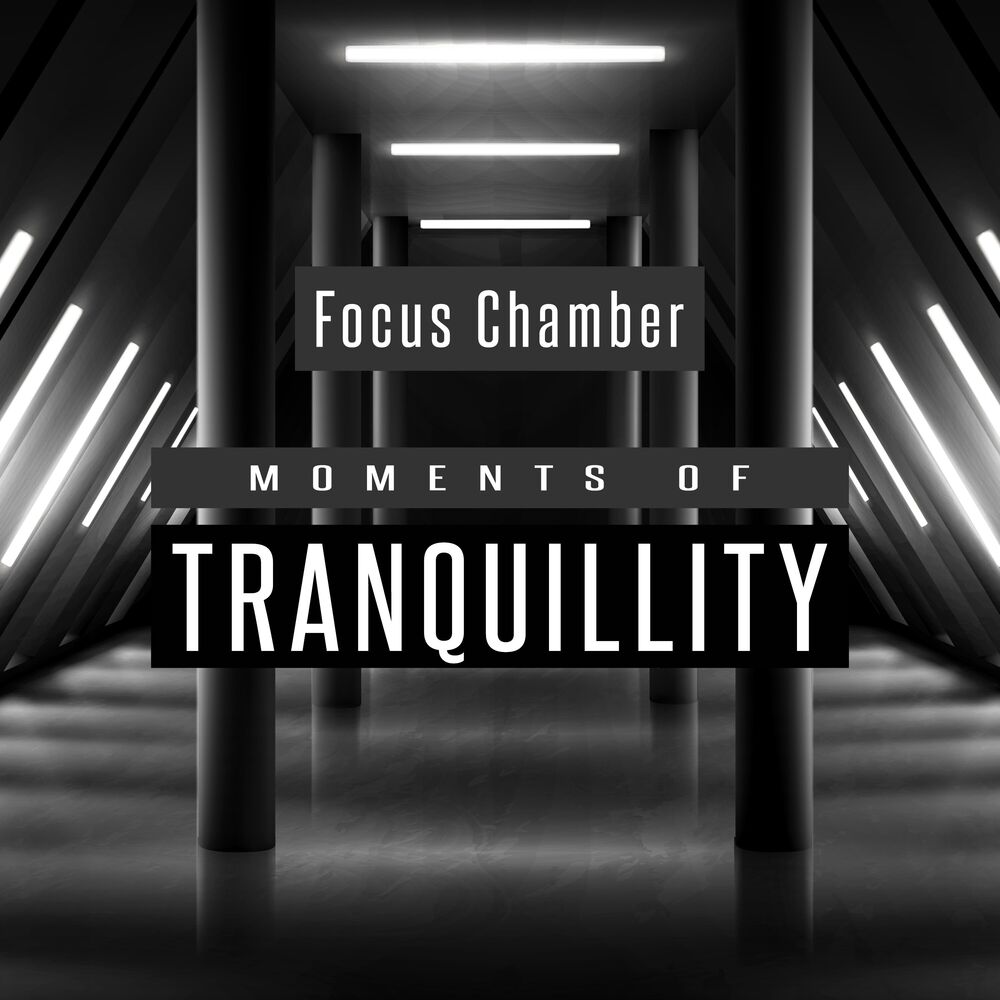 Picture of Moments of Tranquillity