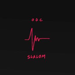 Cover of Slalom