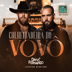 Cover of Colheitadeira do Vovô (Estúdio Showlivre Sertanejo) (Ao Vivo)