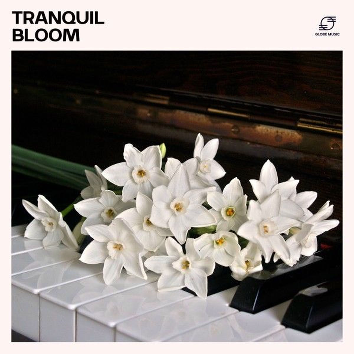 Album cover of Tranquil Bloom: Piano Reading Music