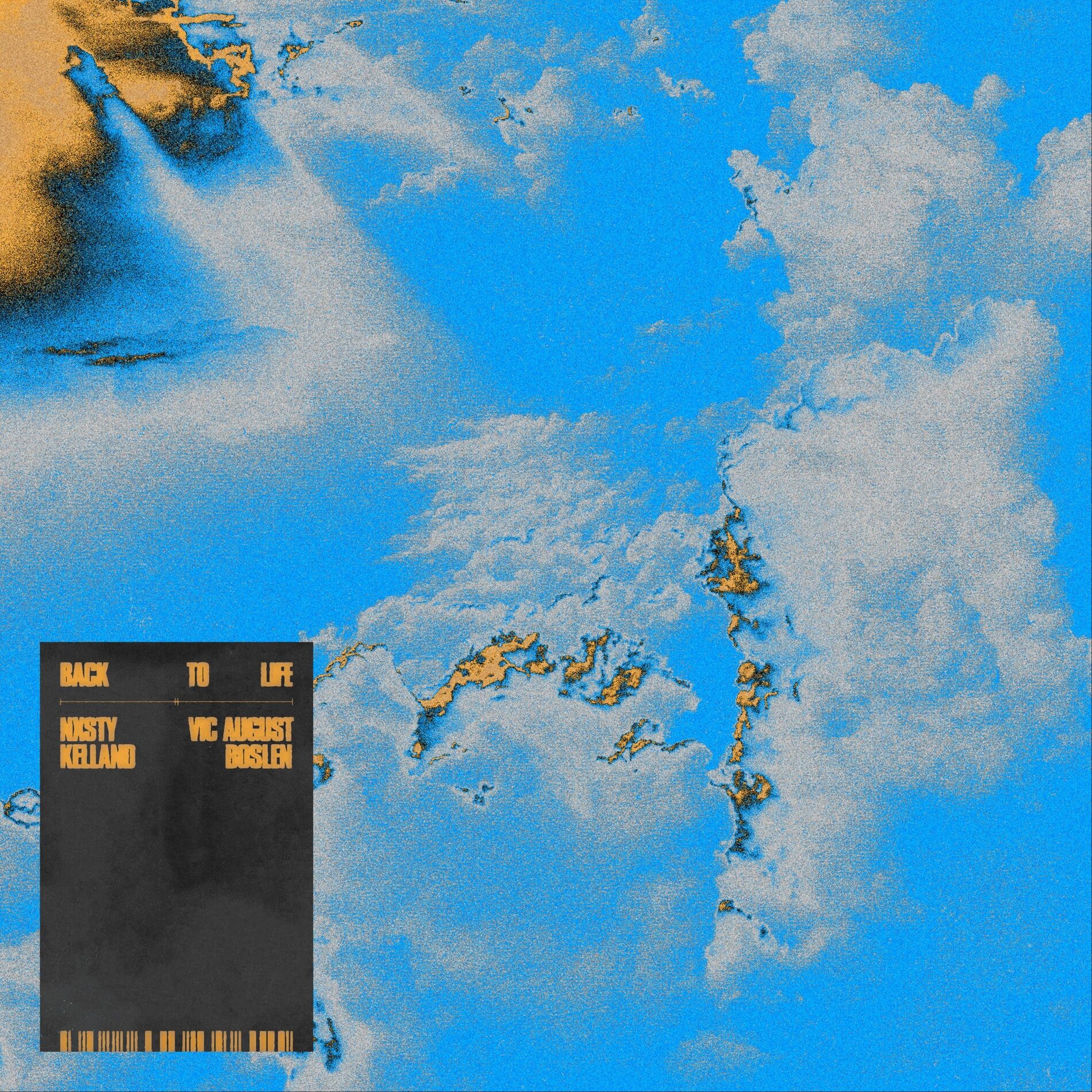 Album cover of BACK TO LIFE