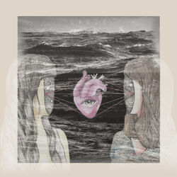 Cover of Casco