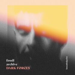 Cover of Dark Forces
