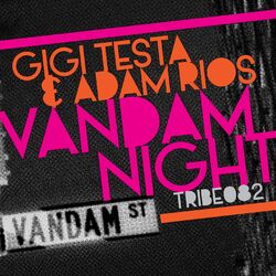 Cover of Vandam Night