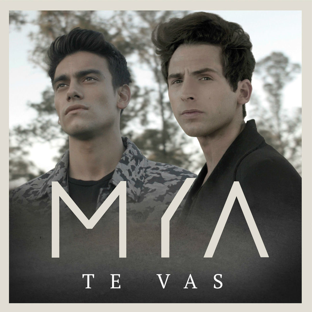 Album picture of Te Vas