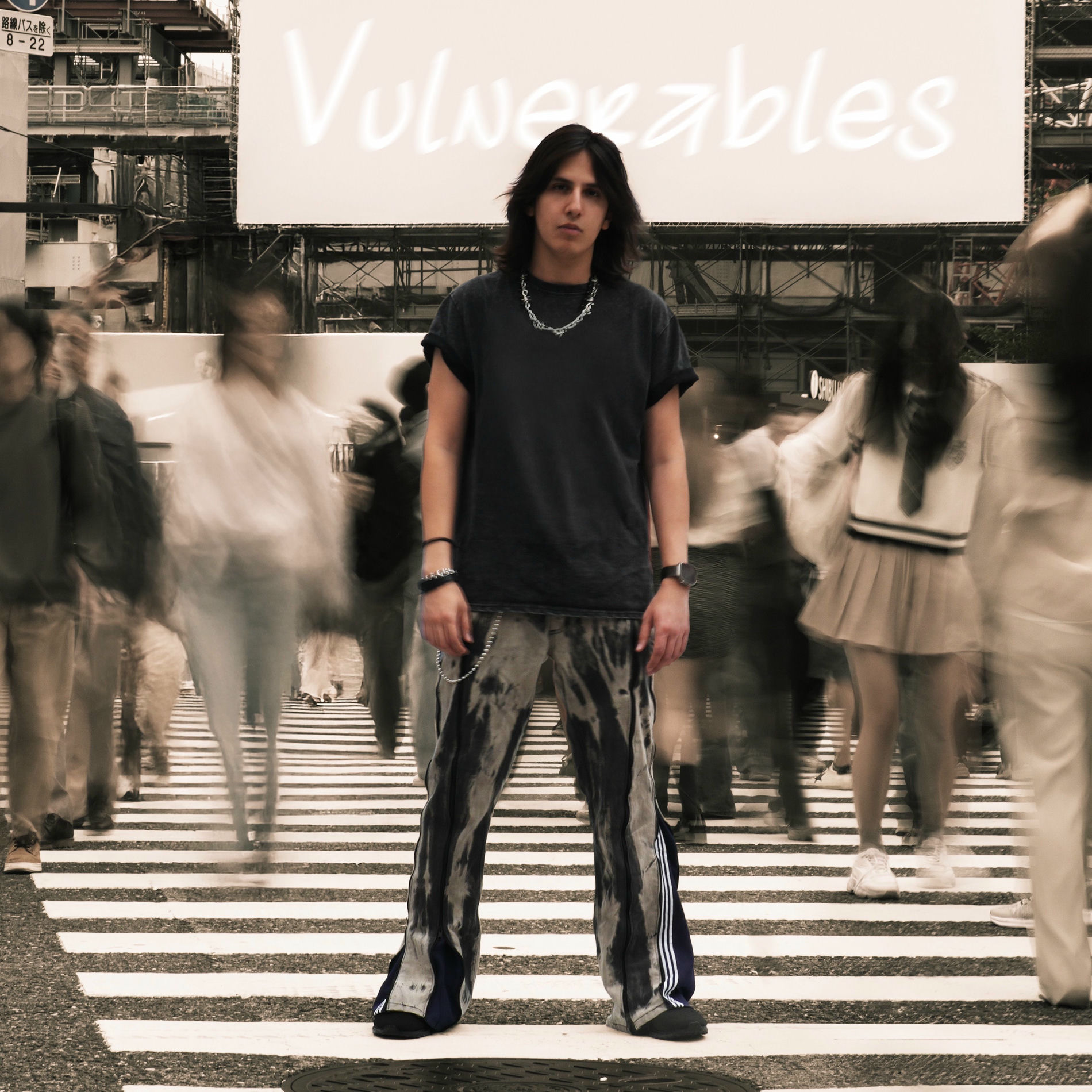 Album cover of Vulnerables
