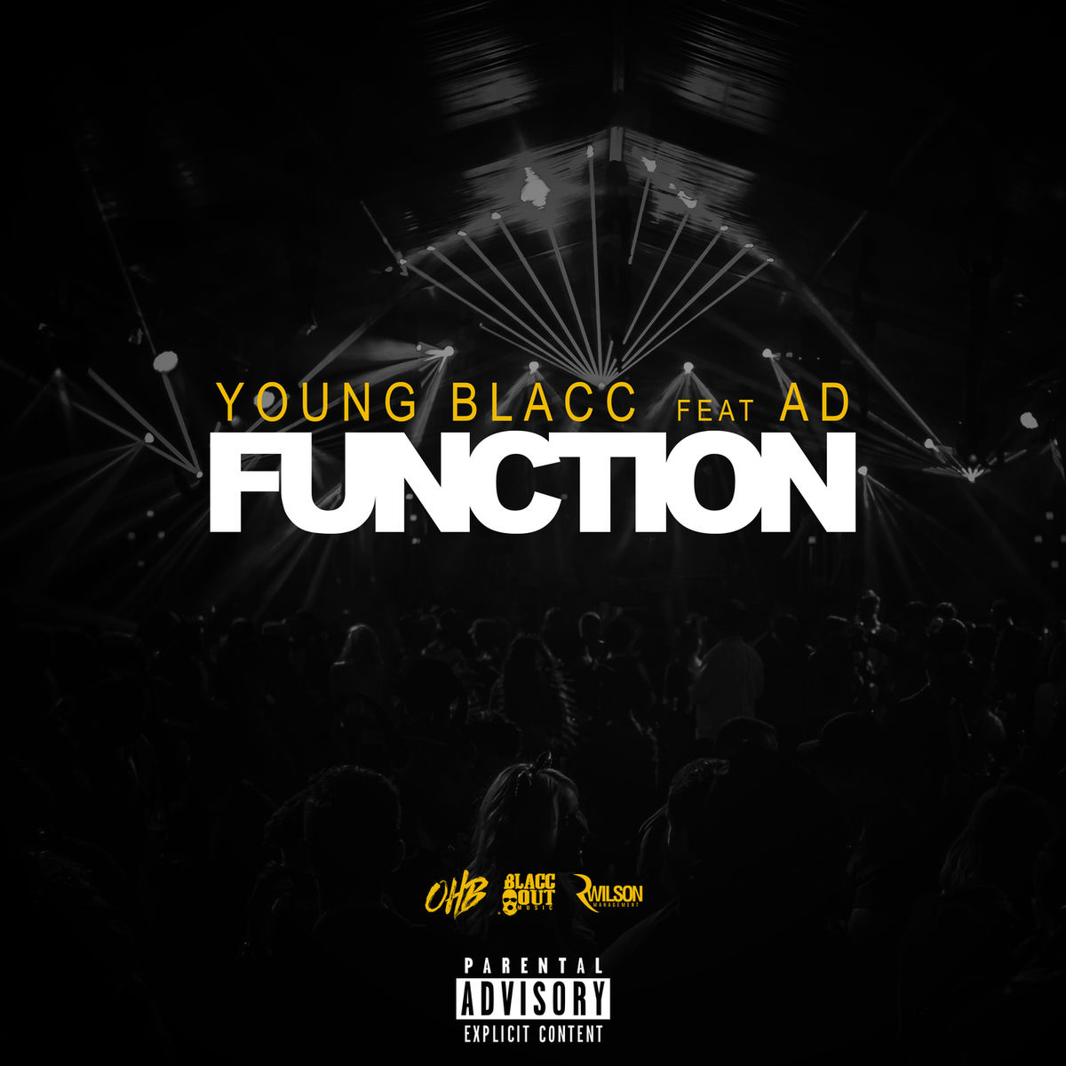 Album cover of Function