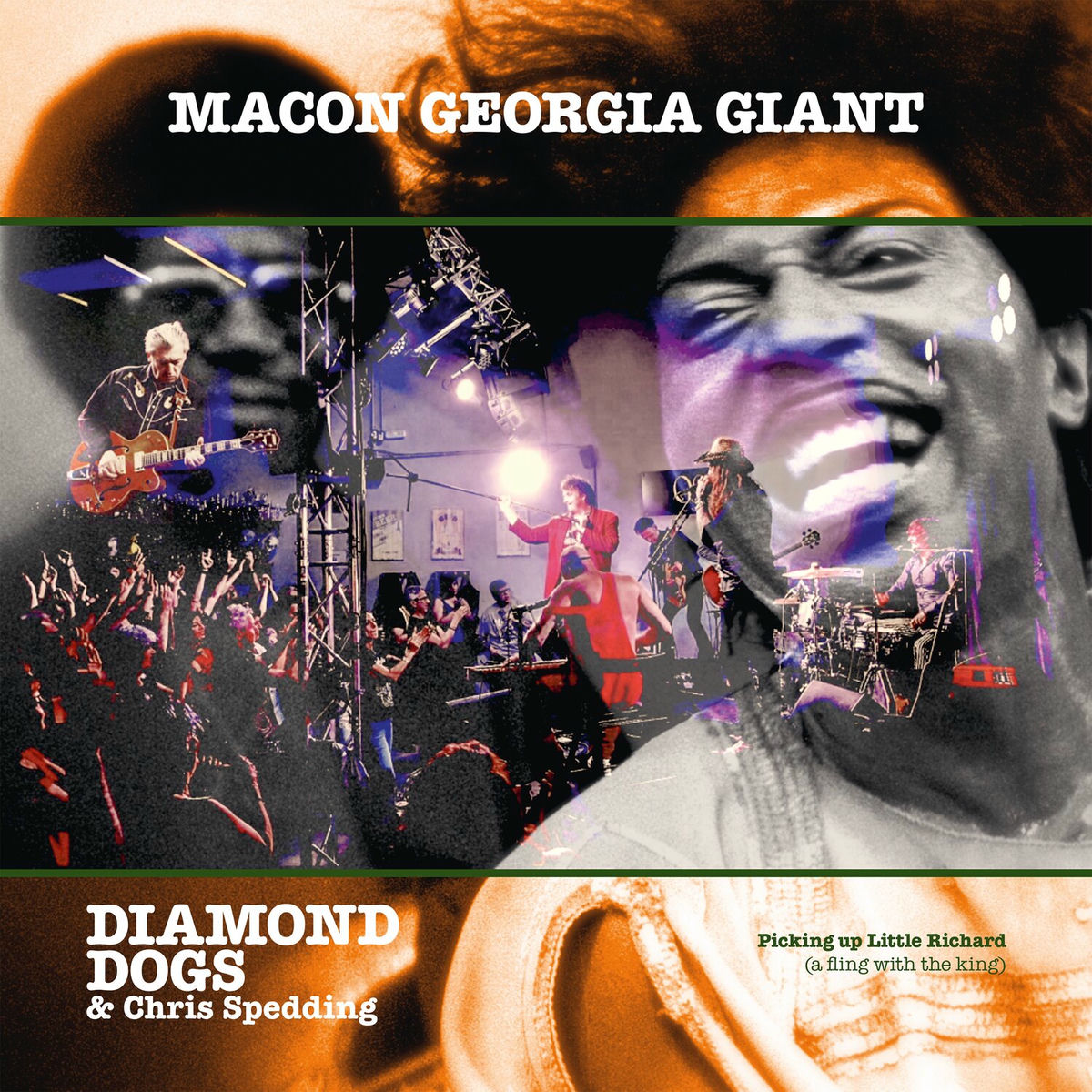 Album cover of Macon Georgia Giant