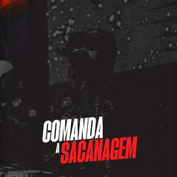Cover of Comanda a Sacanagem