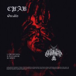 Cover of Occulto