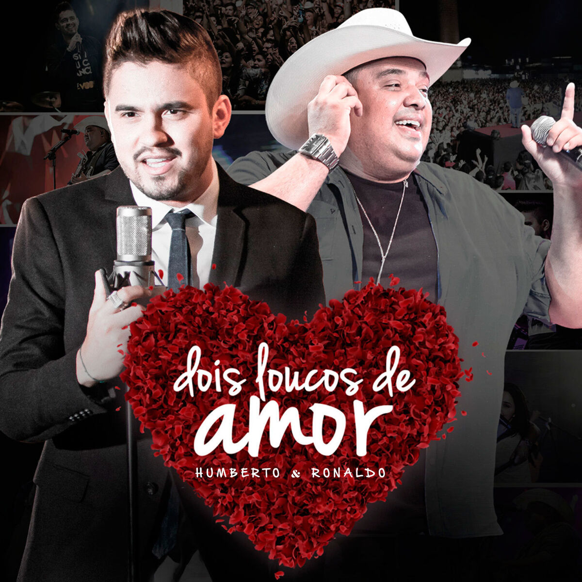 Album cover of Dois Loucos de Amor