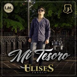 Cover of Mi Tesoro