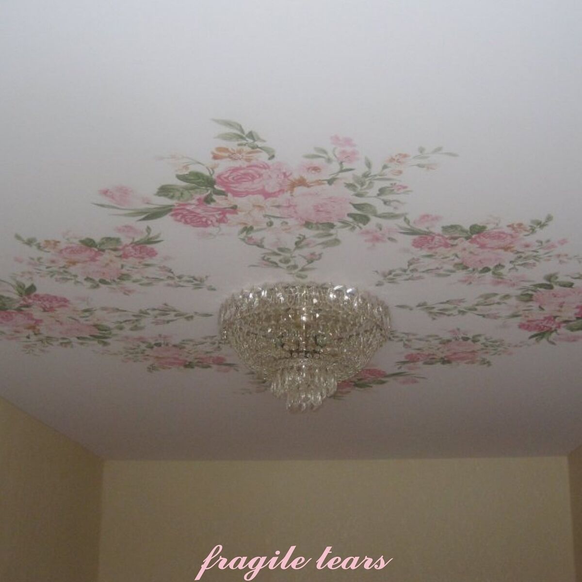 Album cover of fragile tears
