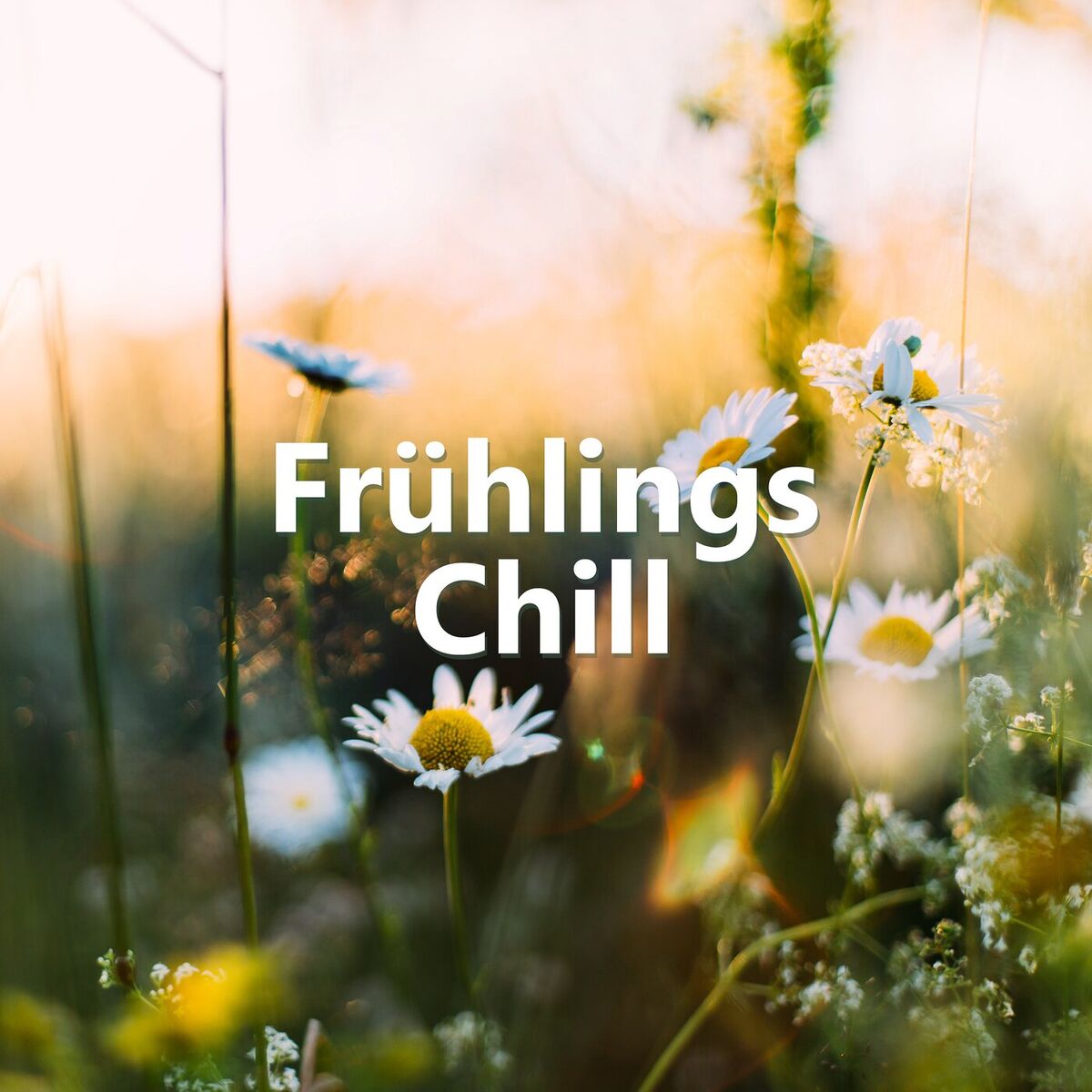 Album cover of Stick Season