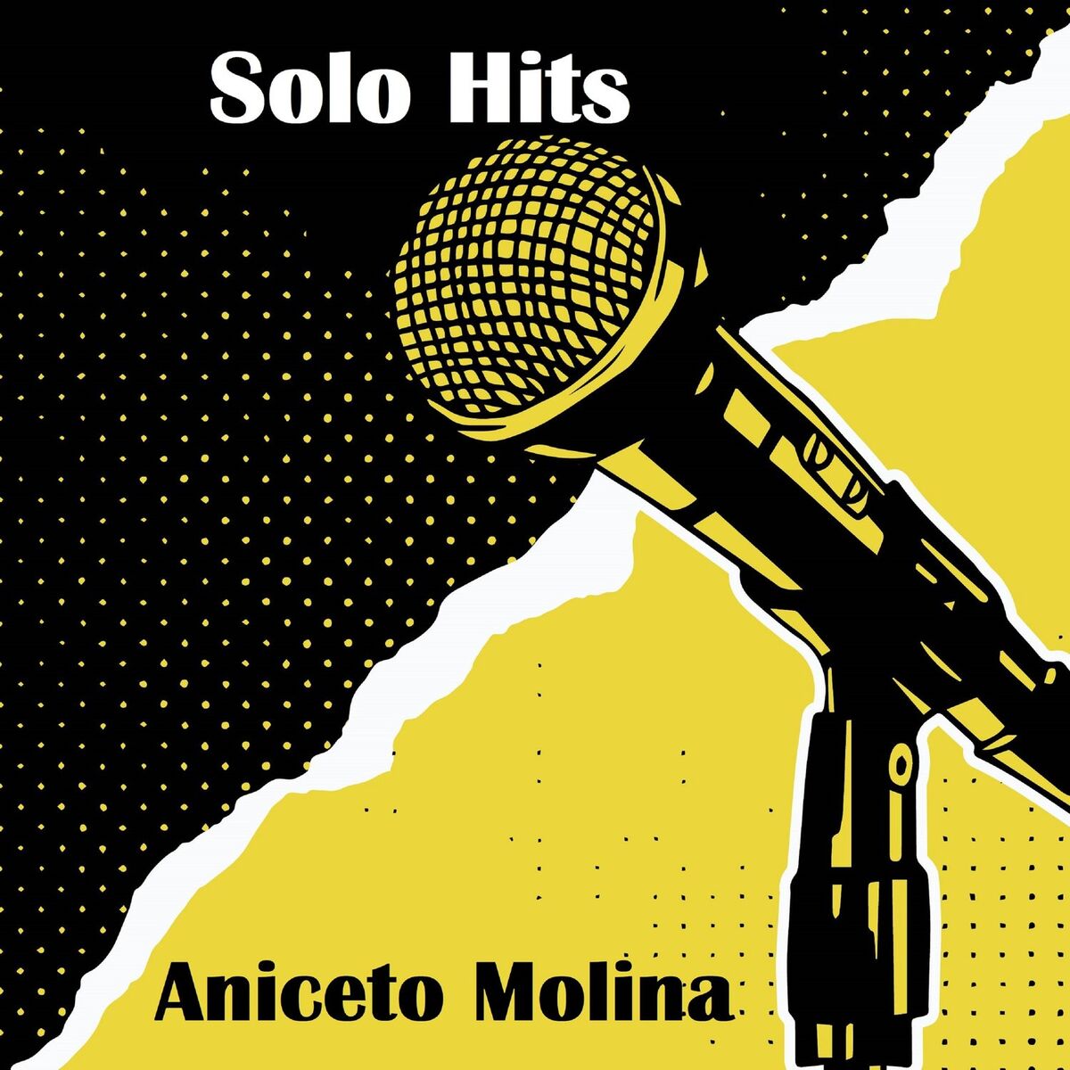 Album cover of Solo Hits