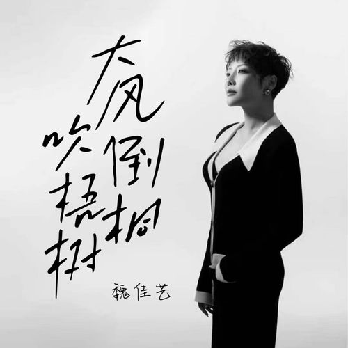 大风吹倒梧桐树 (Djwh版)