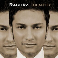 Cover of Identity