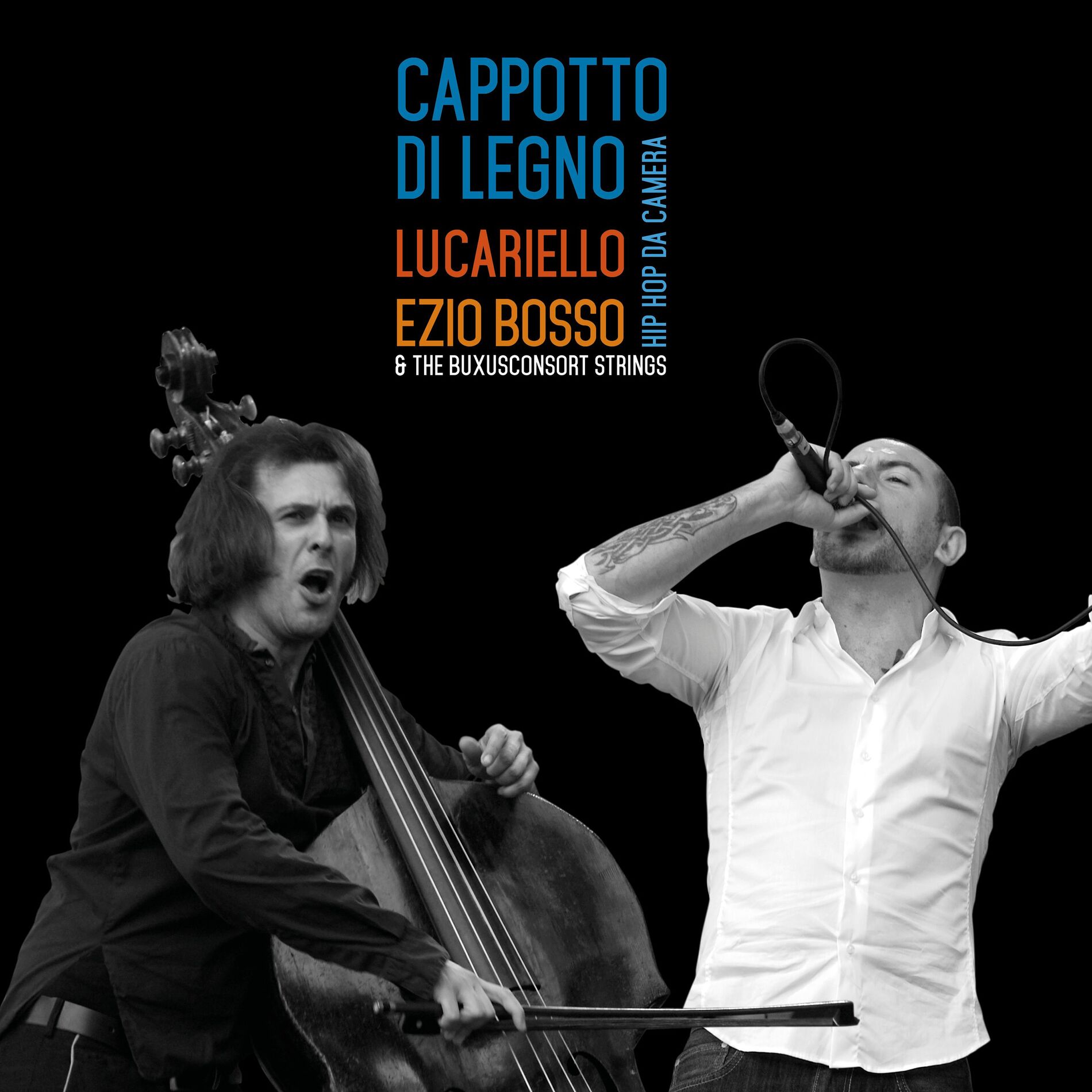 Album cover of Cappotto di Legno
