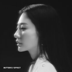 Cover of Butterfly Effect