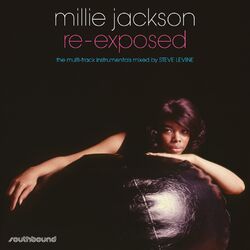 Cover of The Multi-Track Instrumentals (Mixed by Steve Levine)