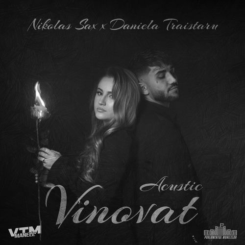 Vinovat (Acustic) cover art