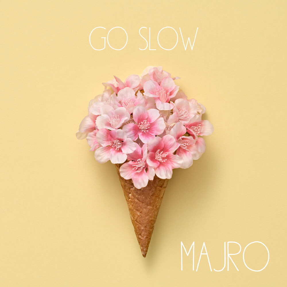 Picture of Go Slow