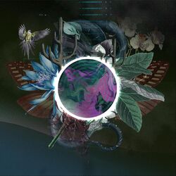 Cover of Oesed