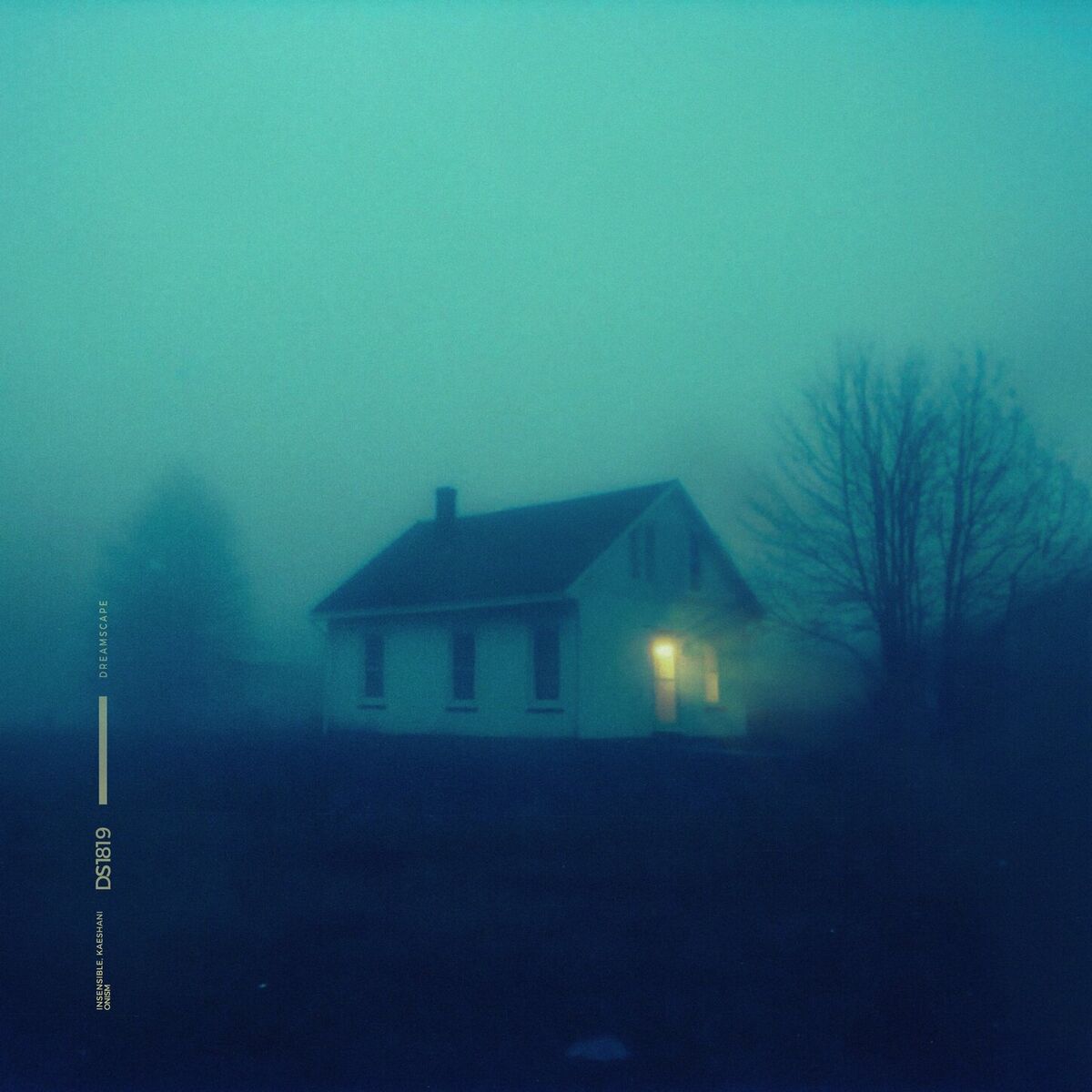Album cover of onism