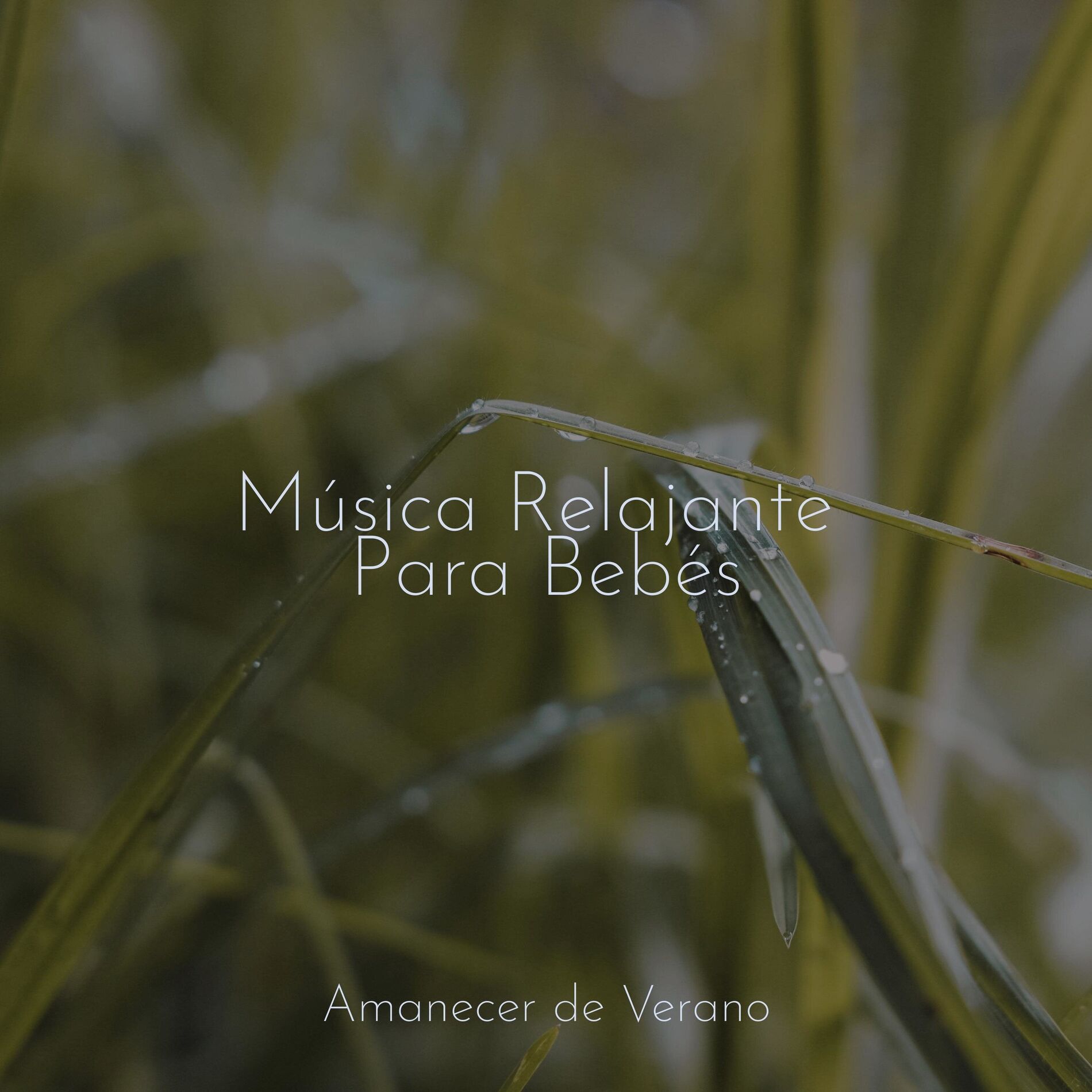 Album cover of Música Relajante Para Bebés