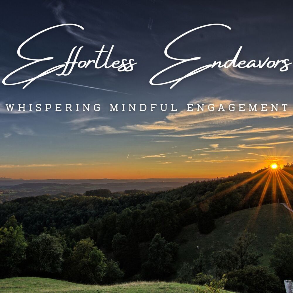 Picture of Effortless Endeavors: Meditative Work Music