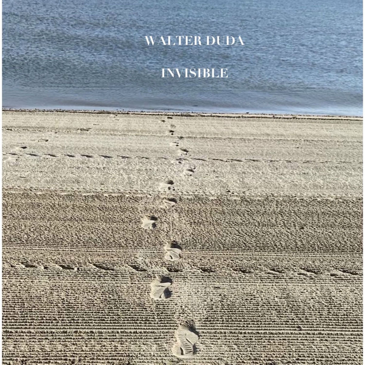 Album cover of Invisible (Single)