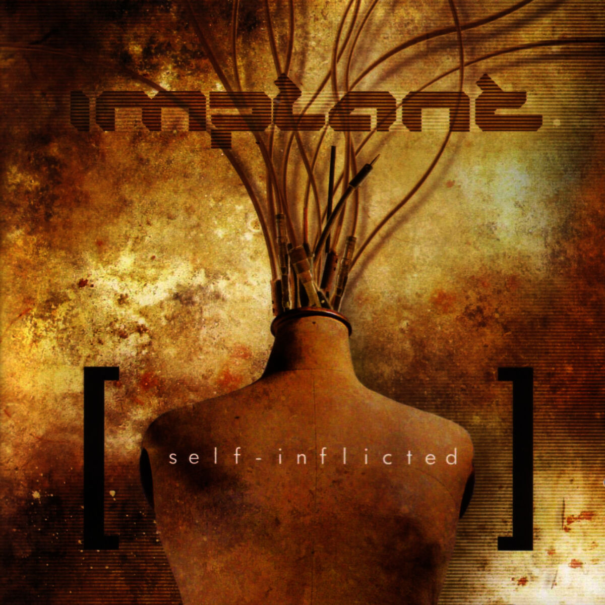 Album cover of Self-Inflicted