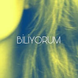 Cover of Bi̇li̇yorum