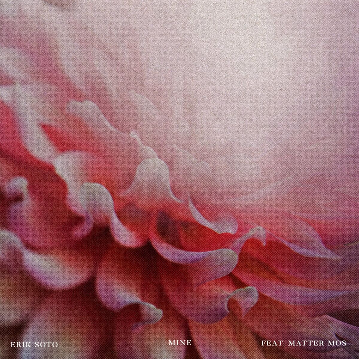 Album cover of Mine