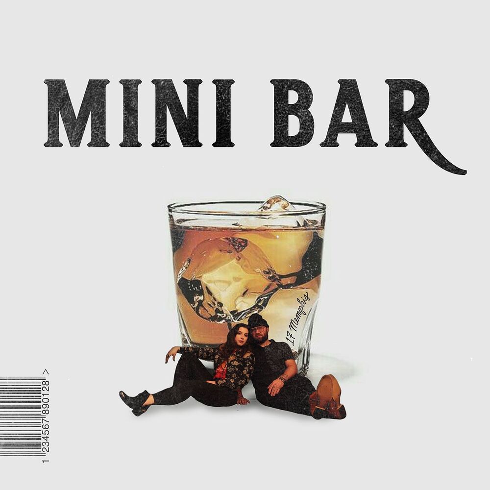 Picture of Mini Bar