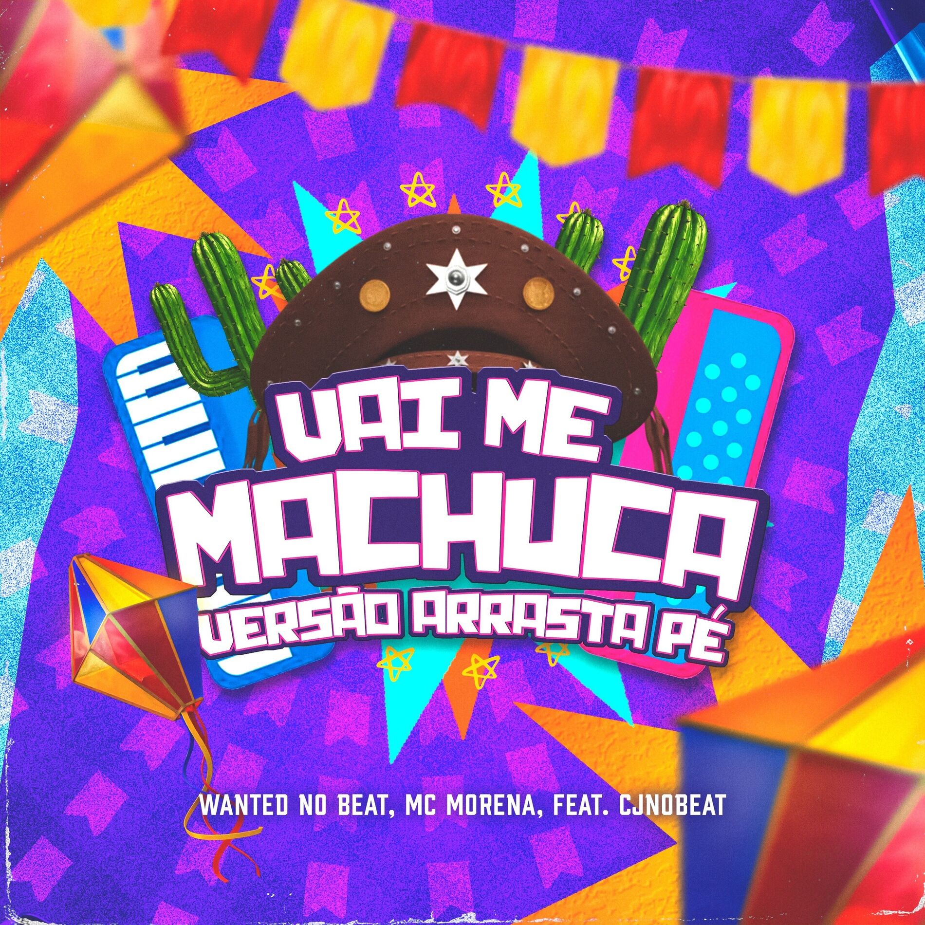 Album cover of Vai Me Machuca (Arrasta Pé)
