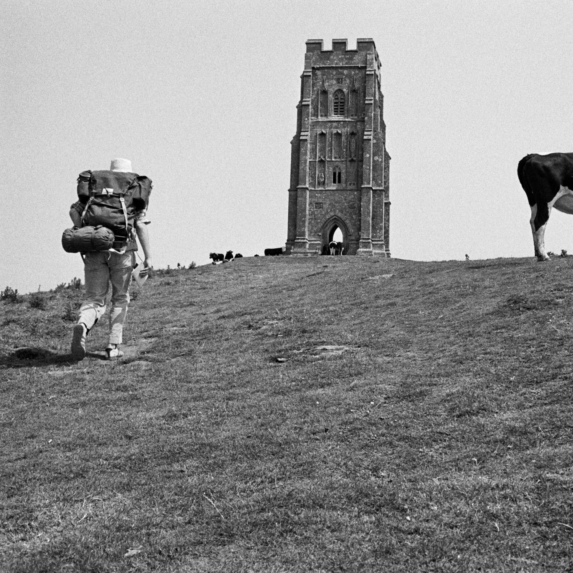 Album cover of Happy Cars
