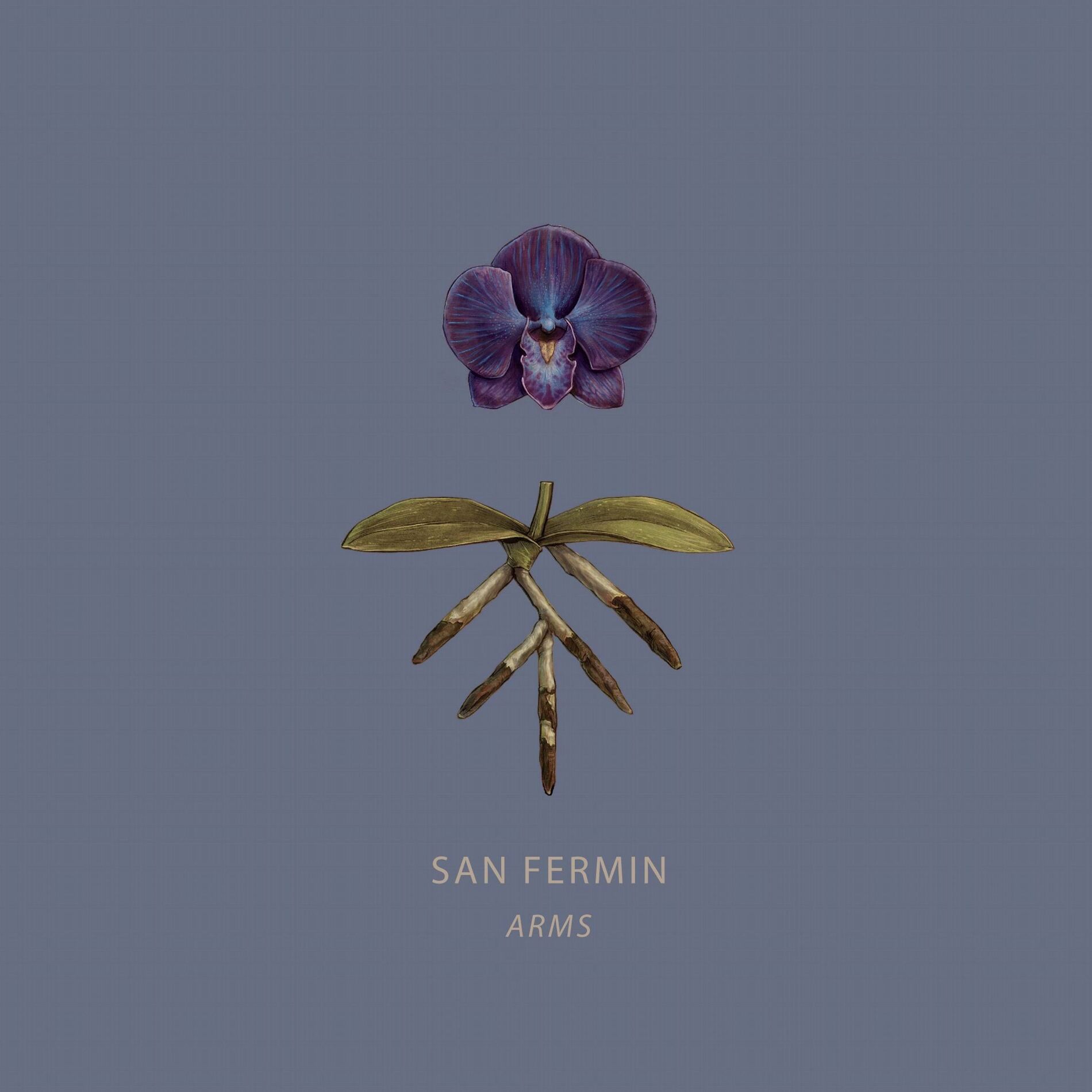 Album cover of Arms