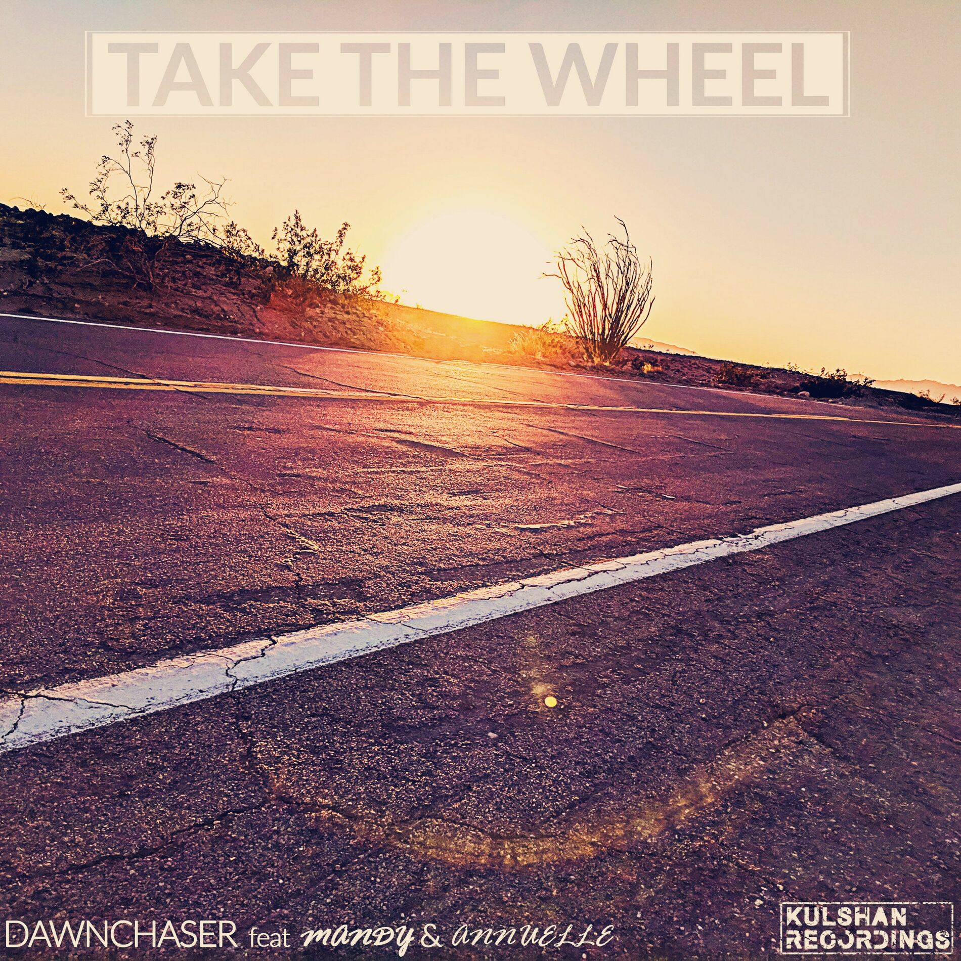 Album cover of Take The Wheel
