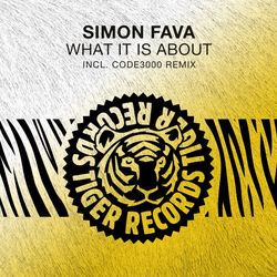 Cover of What It Is About