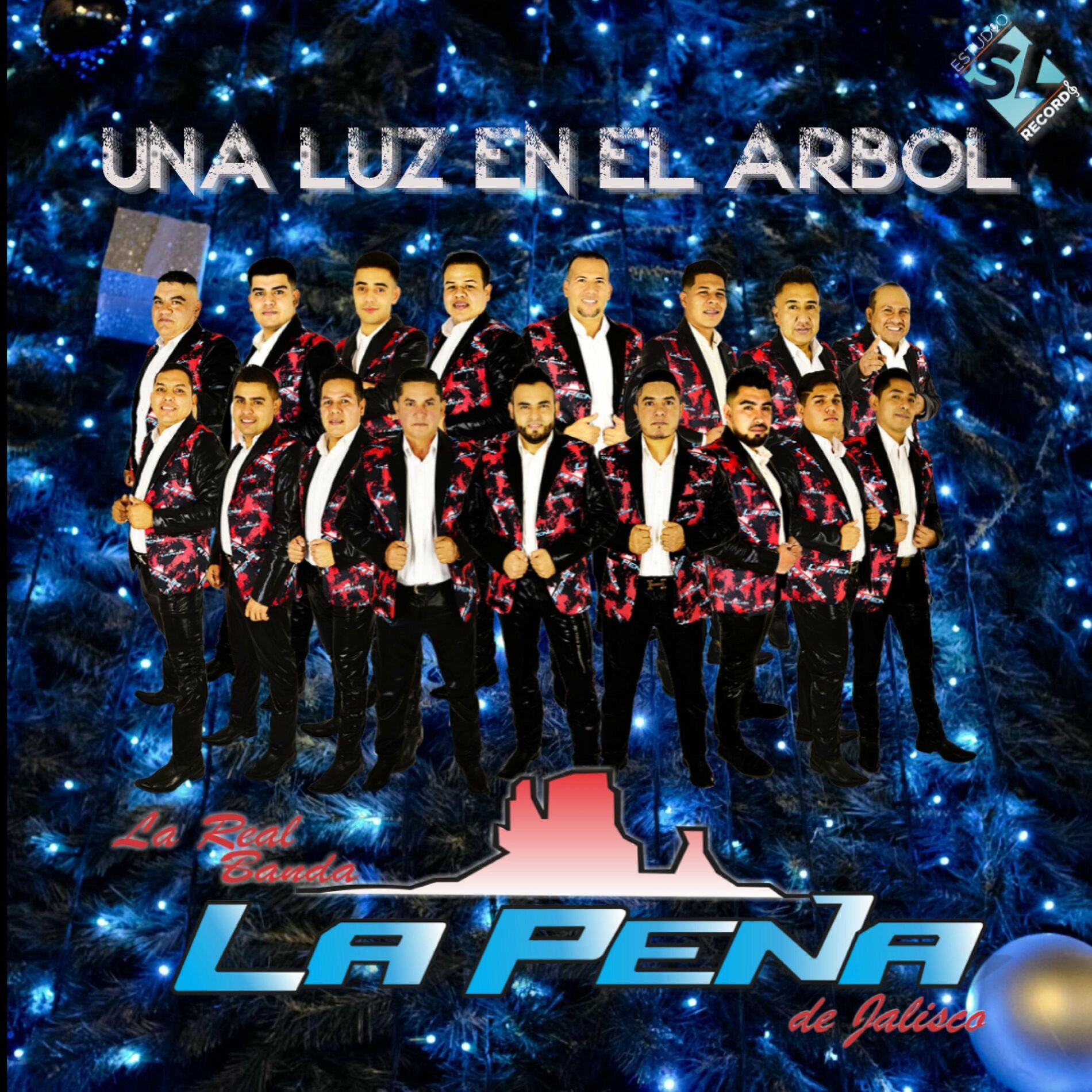 Album cover of Una Luz En El Arbol