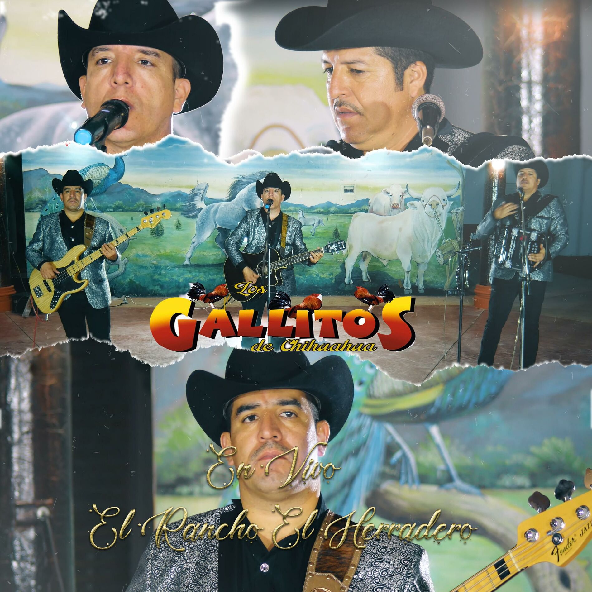 Album cover of Rancho El Herradero (En Vivo)