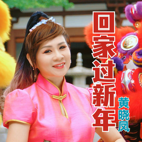 回家过新年