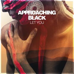 Cover of Let You