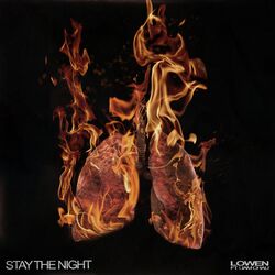 Cover of Stay The Night (feat. Liam Chau)
