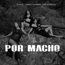 Cover of Por Macho